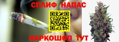 гашик Бузулук