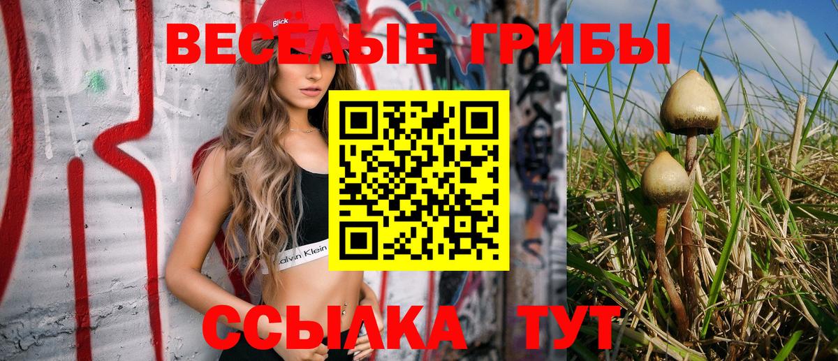 Галлюциногенные грибы мицелий  Вход с VPN  Смоленск 
