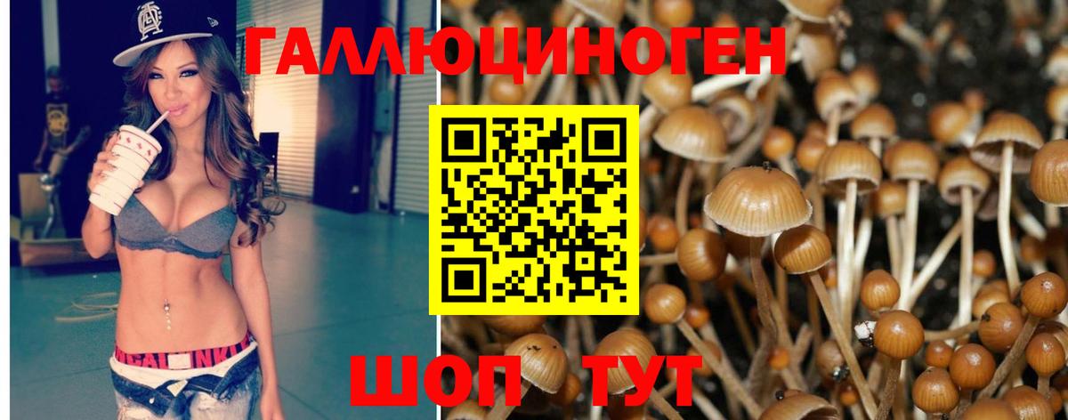 Галлюциногенные грибы мицелий Смоленск